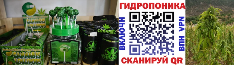 blacksprut зеркало  Теберда  Cannafood конопля 