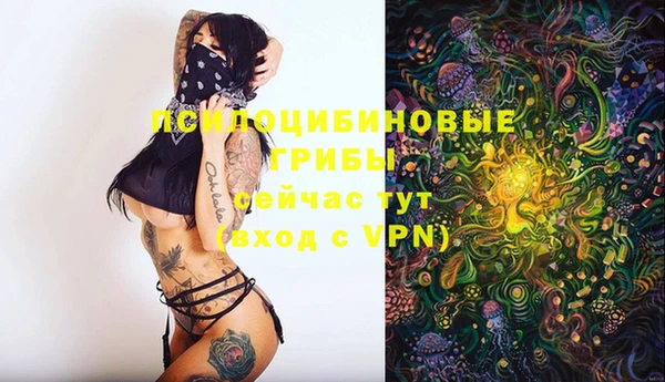крисы Аркадак