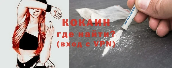 крисы Аркадак
