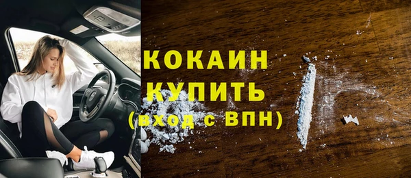 spice Арсеньев