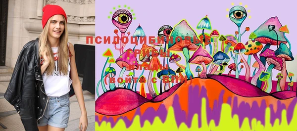 крисы Аркадак