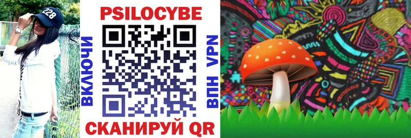 Псилоцибиновые грибы прущие грибы  закладки  Теберда 