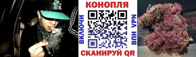 Шишки марихуана план  Теберда 